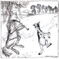 Aesop's fables