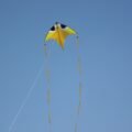 Colourful kite flying high in a blue sky, from a Sankranti story for kids