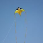 Colourful kite flying high in a blue sky, from a Sankranti story for kids