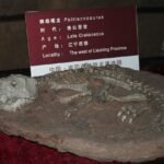 Dinosaur skeleton fossil in a museum, fun facts about dinosaurs for kids
