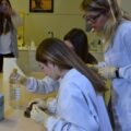 Children doing a science experiment with colourful liquids, easy science experiments for kids