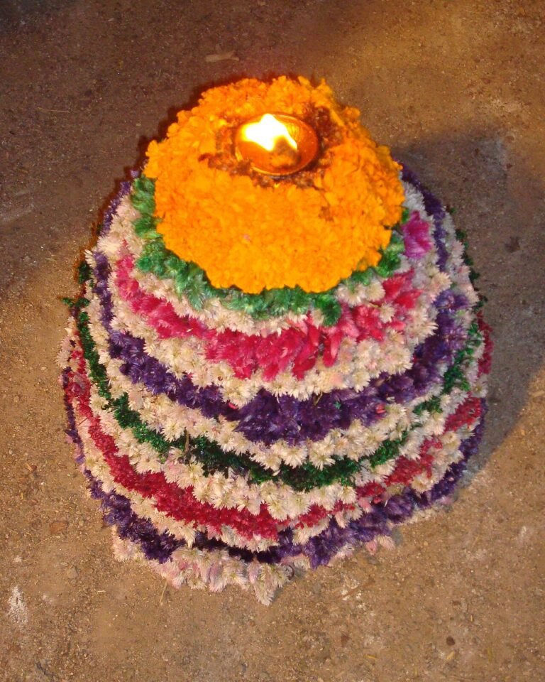 Festivals of Telugu States