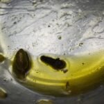 Ghee and Pudding (A Humorous Folktale)
