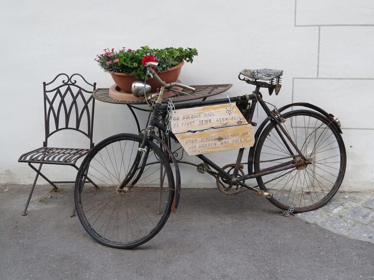 Thatha's Old Bicycle: A Heartwarming Story About Gratitude and Memories 20 Thatha's Old Bicycle: A Heartwarming Story About Gratitude and Memories