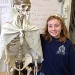 Child learning about the human body with a model skeleton, human body facts for kids