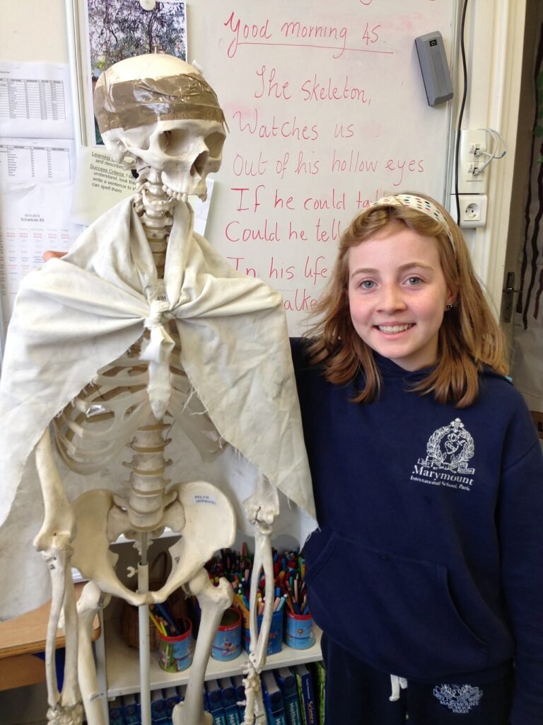 Child learning about the human body with a model skeleton, human body facts for kids