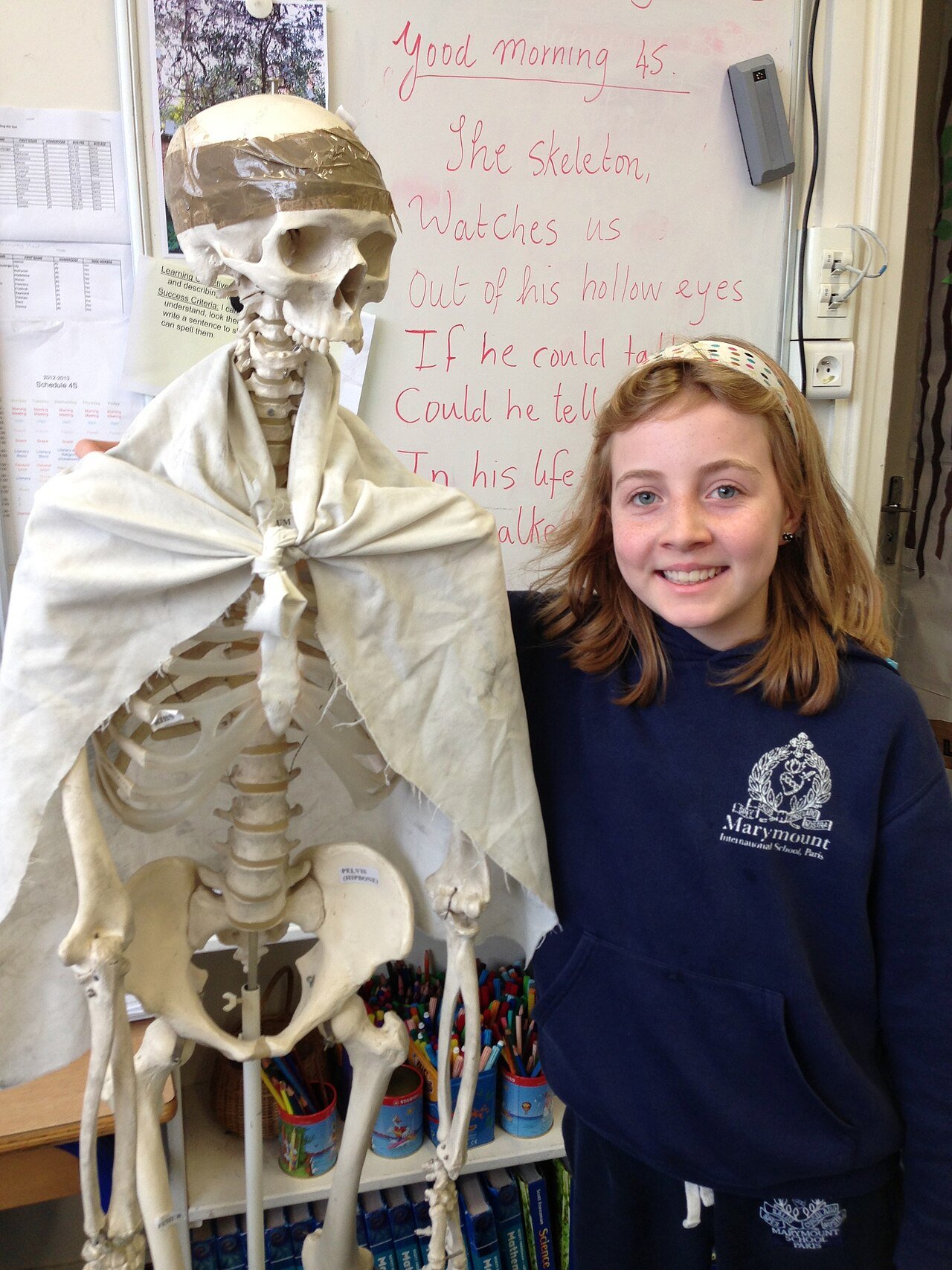 Child learning about the human body with a model skeleton, human body facts for kids