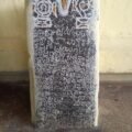 Identifying the Dravidian Roots in Modern Global Languages