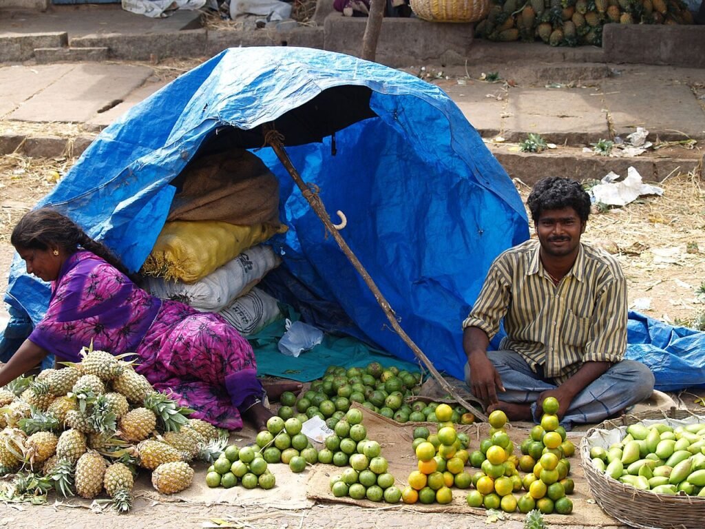 కొన్నవీ పాయ… కొట్టుకొచ్చినవీ పాయ… (హాస్య నీతి కథ)