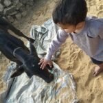 వీరుడంటే వీడే (సంయుక్త అక్షరాలు లేని బాలల కథ)