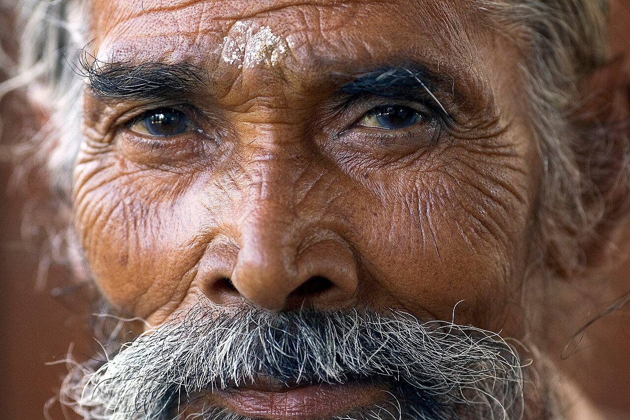 10 Telugu Proverbs That Contain More Wisdom Than a Shelf of Self-Help Books