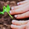 The Magic Seed of Kindness: A Short Story About Sharing for Kids