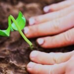 The Magic Seed of Kindness: A Short Story About Sharing for Kids