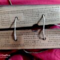 The Last Manuscript of Nallapati