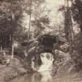 The Magical Adventures of Anaya and the Enchanted Forest