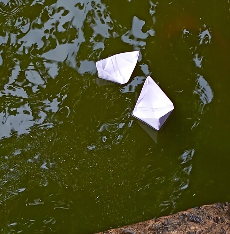 The Paper Boat Race: A Rainy Day Story About Creativity and Sportsmanship 6 Paper boat floating in rainwater, from a rainy day story for kids