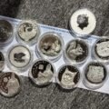 The Silver Penny