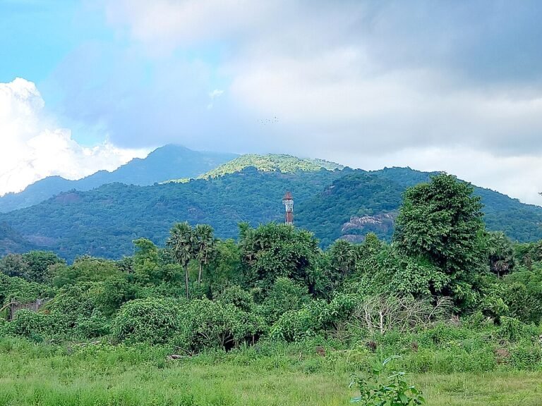 Tourism in the Telugu states