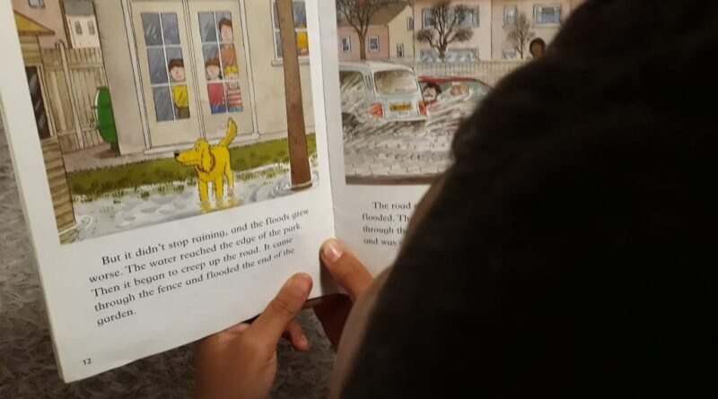 Cómo enseñar a los niños a amar la lectura: 10 consejos prácticos
