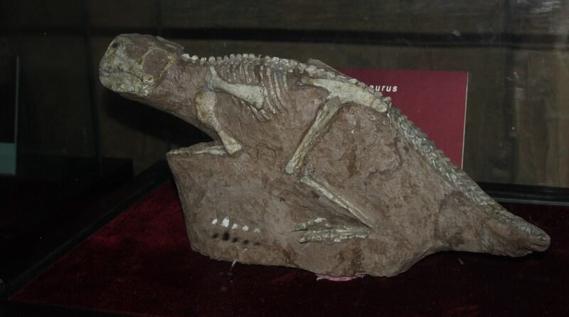 Les dinosaures expliqués aux enfants : 10 faits étonnants