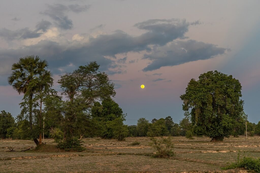 Der Mond macht Urlaub – Einschlafgeschichte