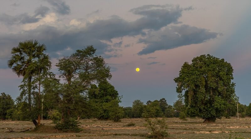 Der Mond macht Urlaub – Einschlafgeschichte