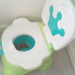 Potty Training Tips: A Calm, Step