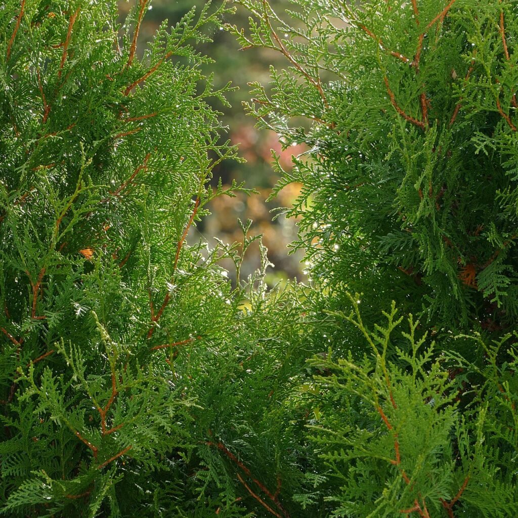 雨滴的旅行 – 儿童科普故事